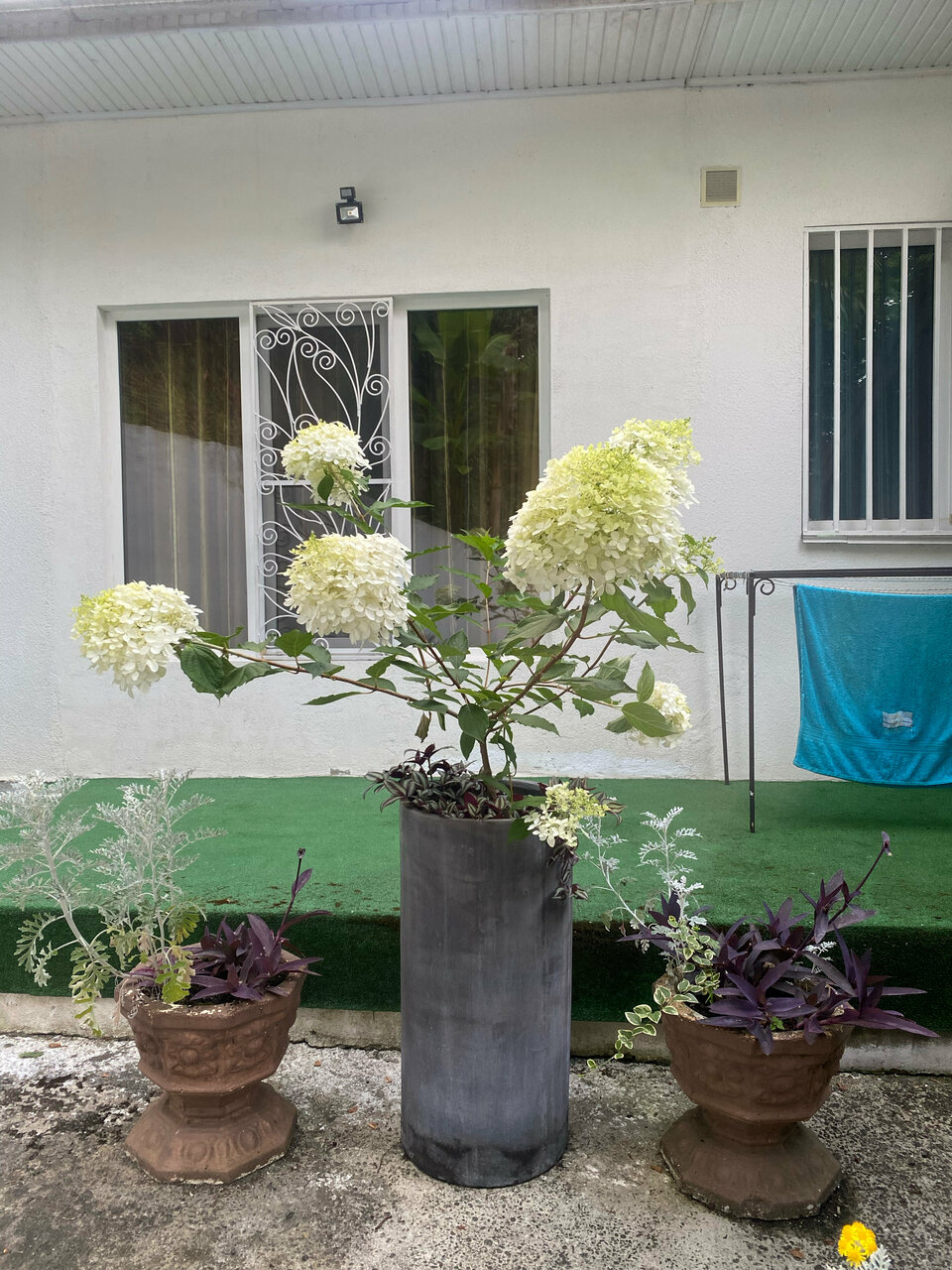 Гостиница Анюта Сочи-93