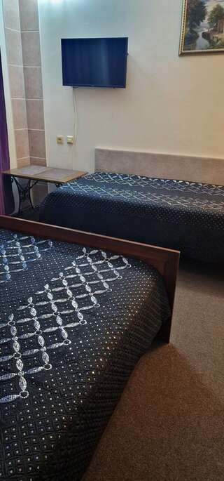 Гостиница Анюта Сочи Трехместный номер с собственной ванной комнатой-7