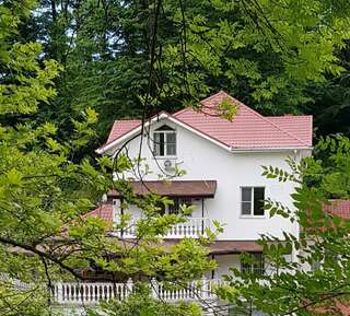 Гостиница Анюта Сочи-0