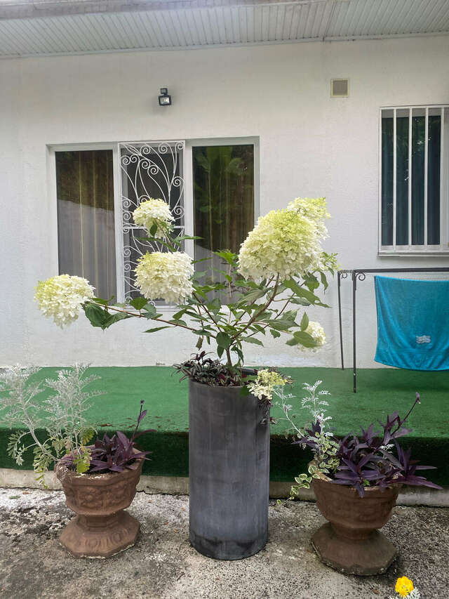 Гостиница Анюта Сочи-92